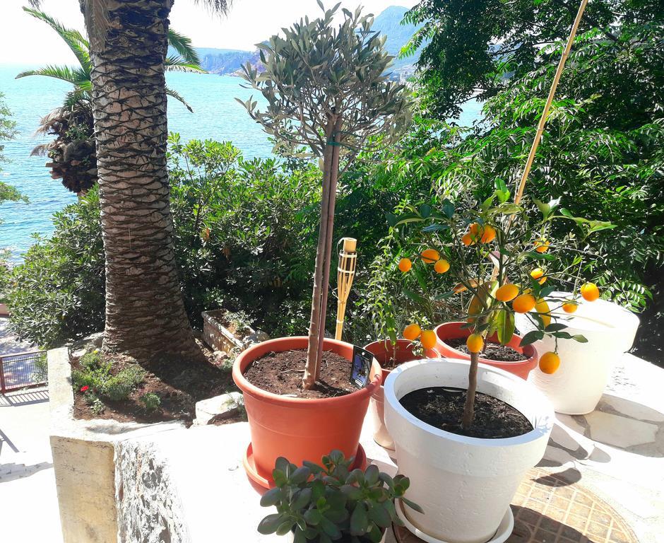 Two Palms Apartment Sutomore Eksteriør bilde